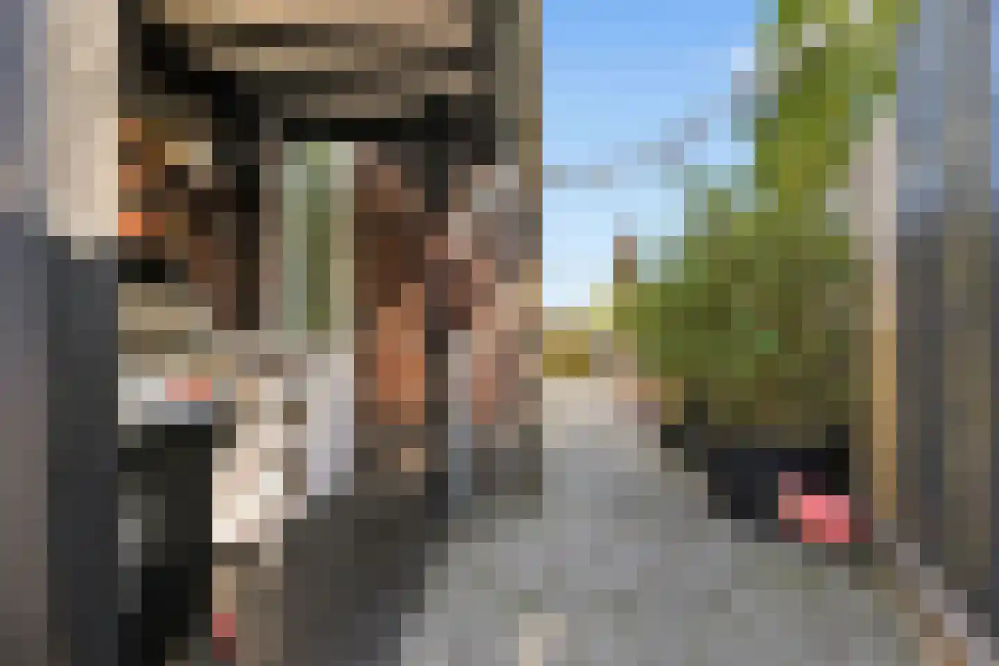 Kaaikpad 1 Assendelft thumbnail 24