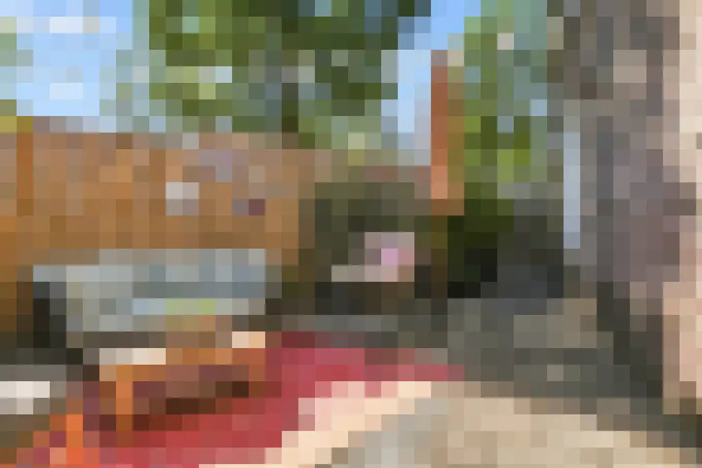 Kaaikpad 1 Assendelft thumbnail 27