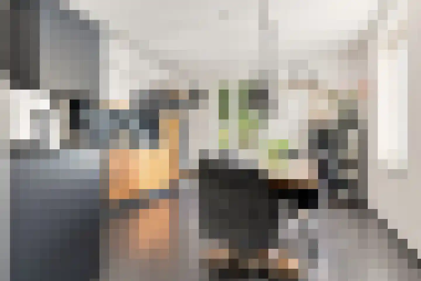 Kaaikpad 1 Assendelft foto 3