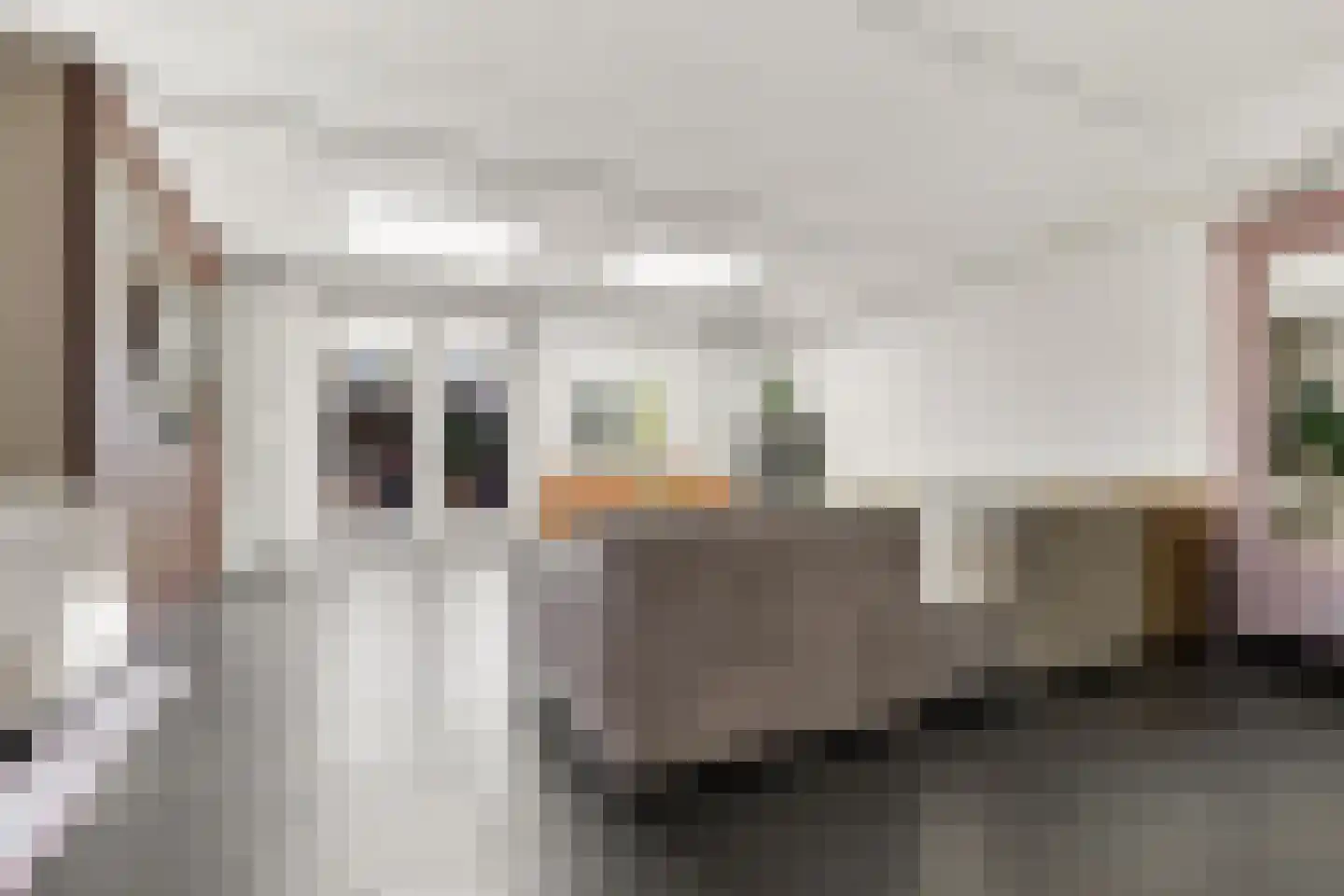Kaaikpad 1 Assendelft thumbnail 5