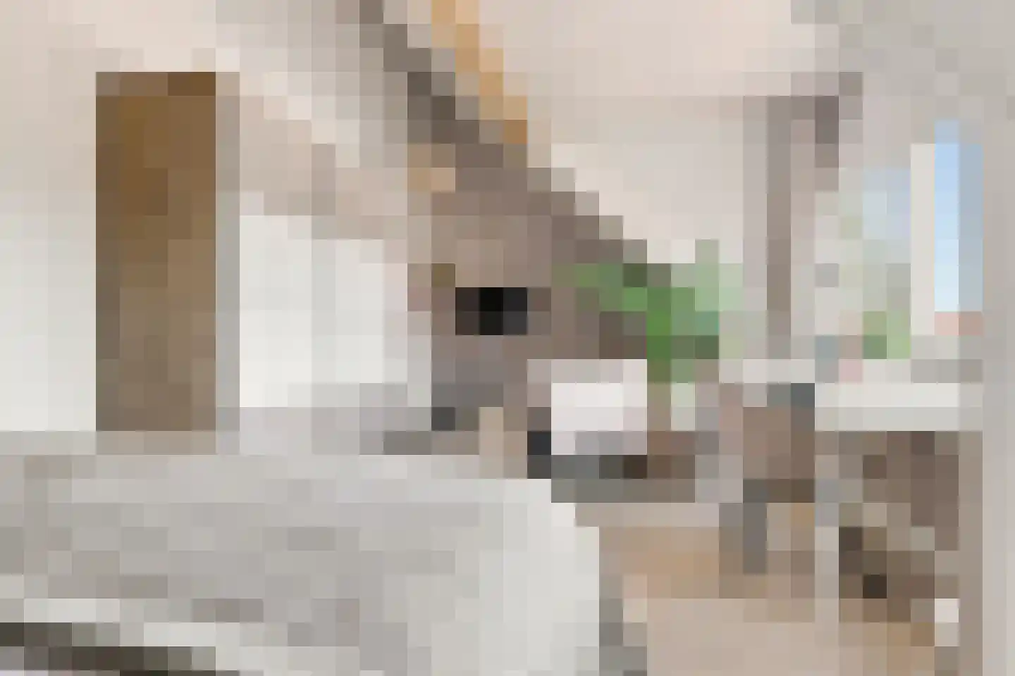 Kaaikpad 1 Assendelft thumbnail 51
