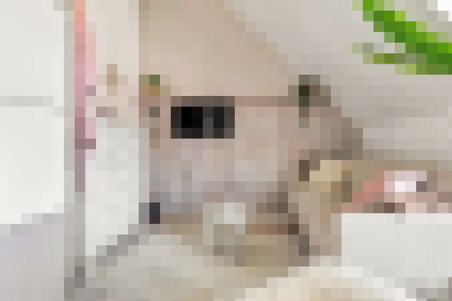 Kaaikpad 1 Assendelft thumbnail 52