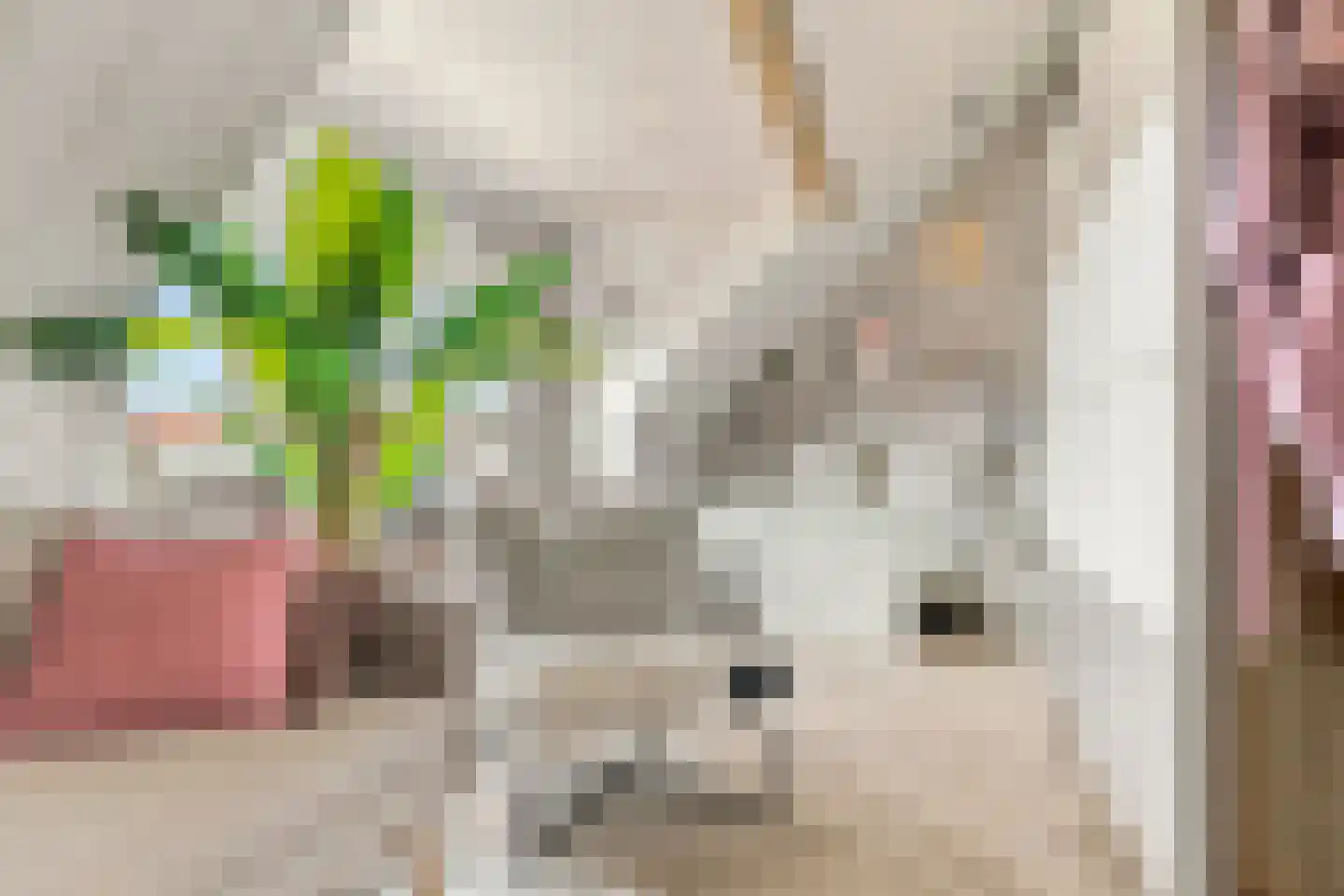 Kaaikpad 1 Assendelft thumbnail 53