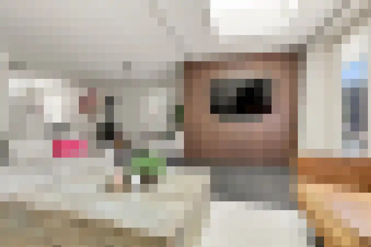 Kaaikpad 1 Assendelft thumbnail 6