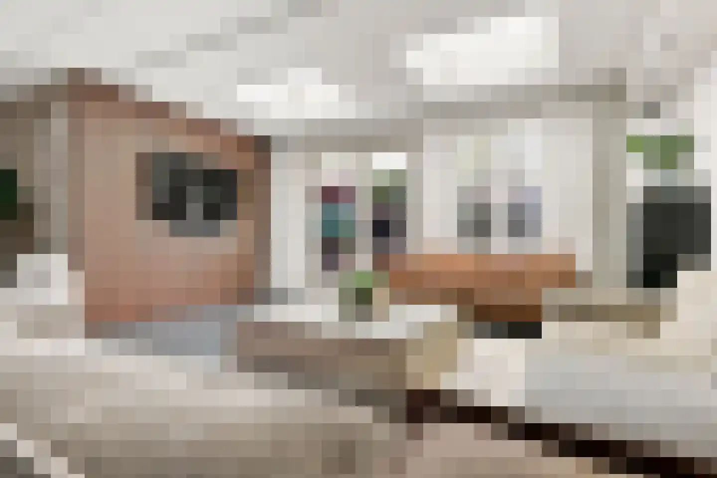 Kaaikpad 1 Assendelft thumbnail 9