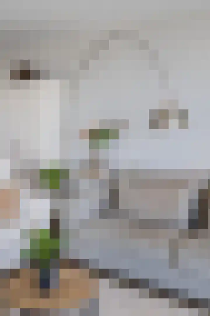Kaaisjouwerskade 236 Nijmegen thumbnail 10