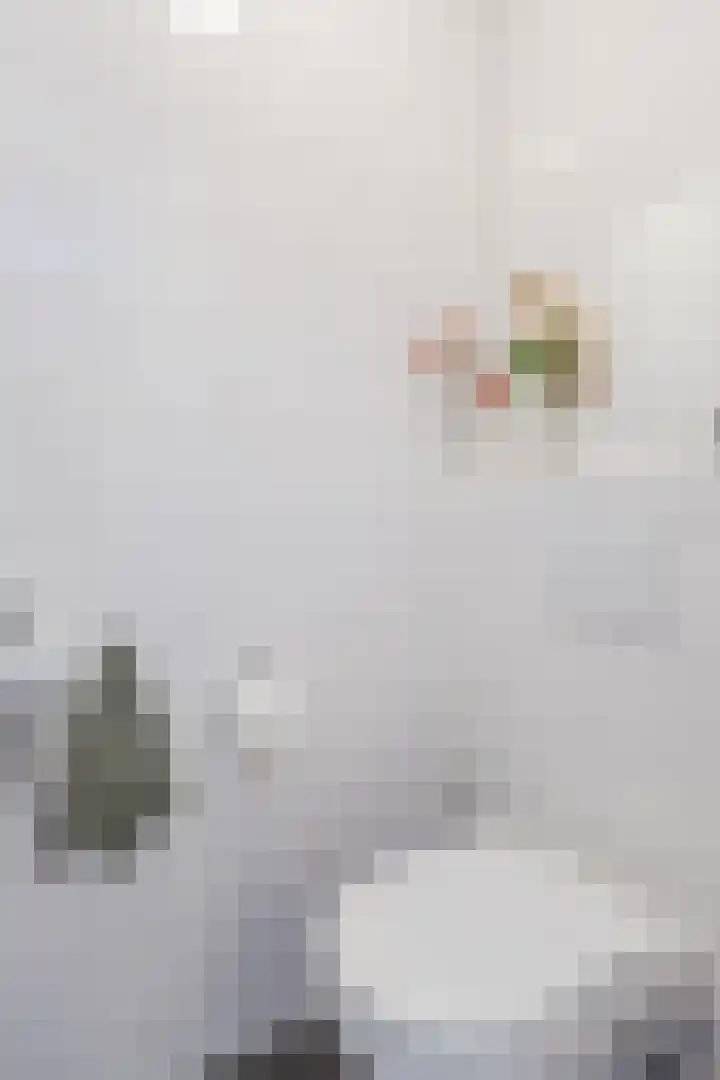 Kaaisjouwerskade 236 Nijmegen thumbnail 18