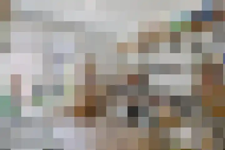 Kaaisjouwerskade 236 Nijmegen thumbnail 30