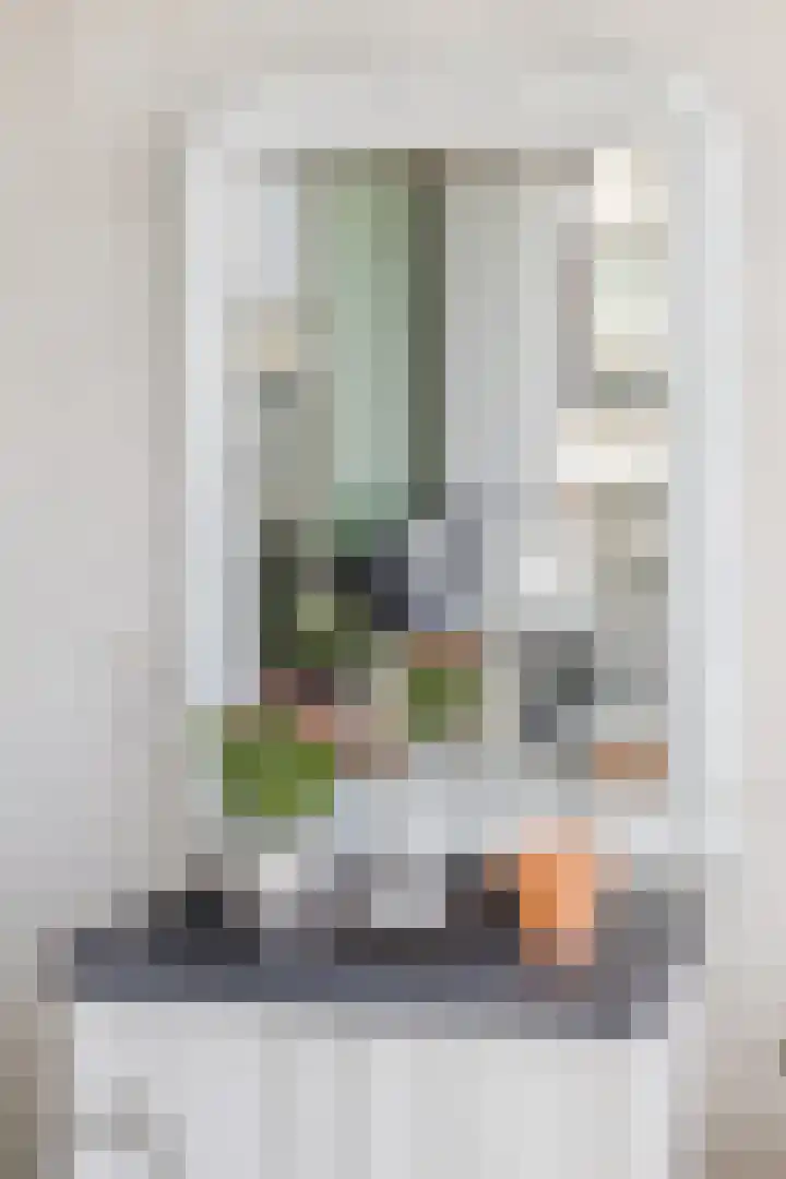 Kaaisjouwerskade 236 Nijmegen thumbnail 36