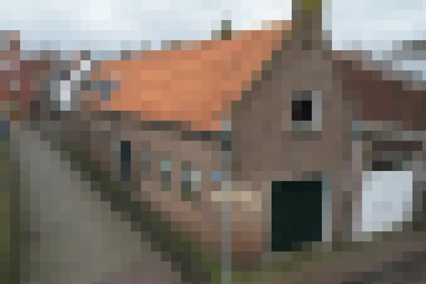 Kaaistraat 14 Steenbergen thumbnail 44