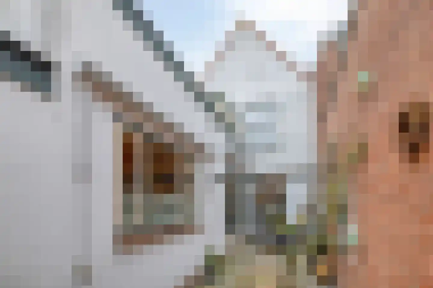 Kaaistraat 18 Steenbergen (NB) thumbnail 49