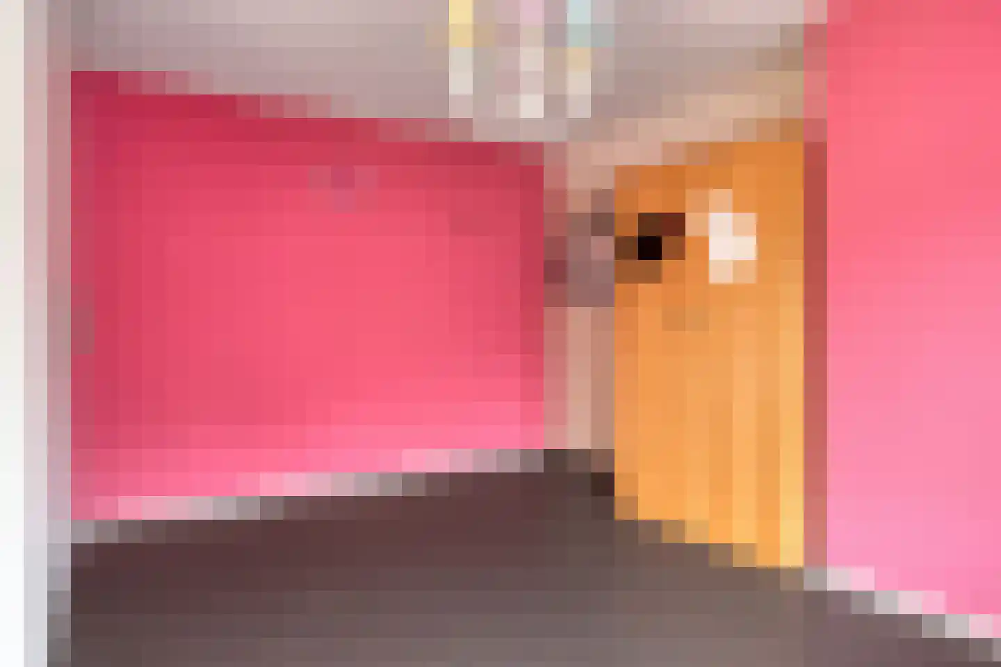 Kaaistraat 21 Kortgene thumbnail 22