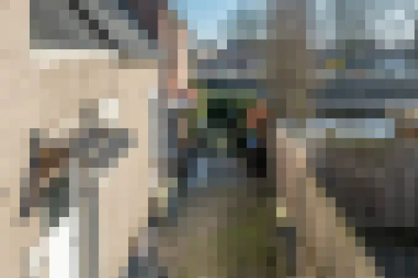 Kaaistraat 30 Oudenbosch thumbnail 6