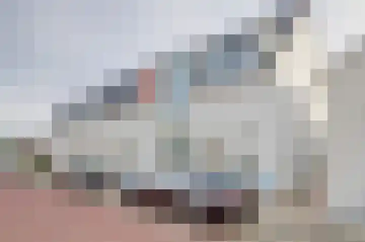 Kaaistraat 7 Yerseke thumbnail 5
