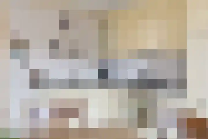 Kaakstraat 1 Stedum thumbnail 15