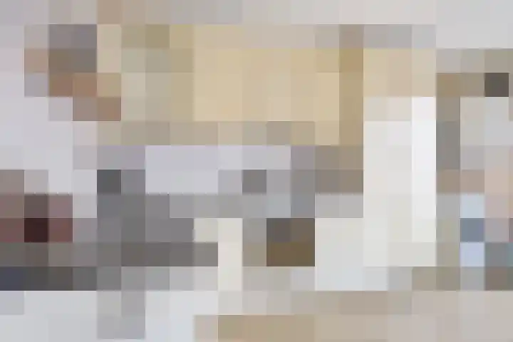 Kaakstraat 1 Stedum thumbnail 18