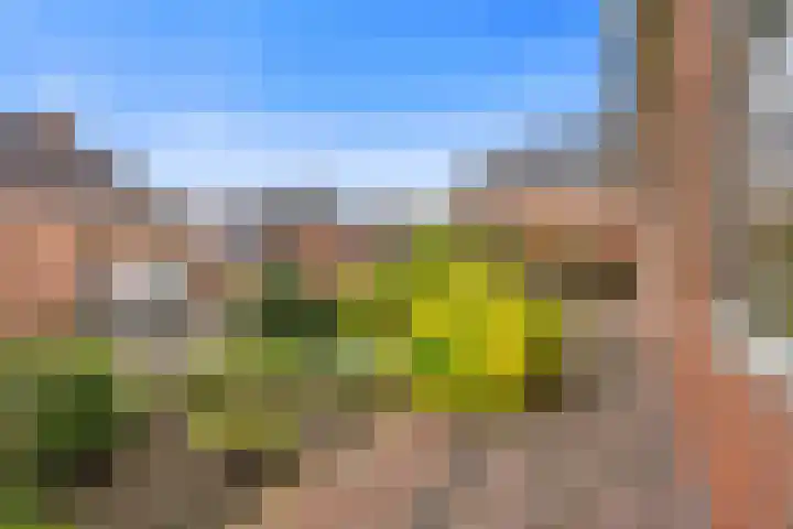 Kaakstraat 1 Stedum thumbnail 6
