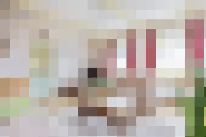 Kaakstraat 1 Stedum thumbnail 9