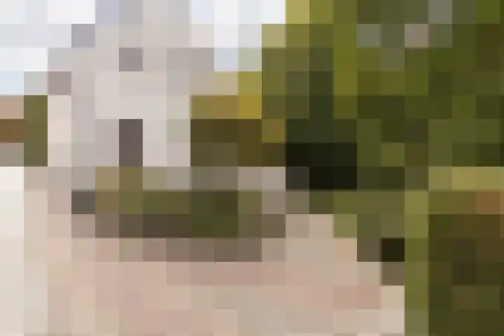 Kaakstraat 12 Elsloo thumbnail 13