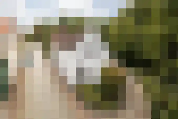 Kaakstraat 12 Elsloo thumbnail 7