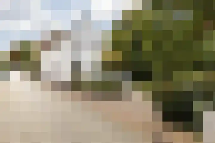 Kaakstraat 12 Elsloo thumbnail 8