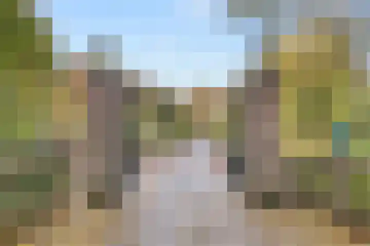 Kaakstraat 49 Elsloo thumbnail 33