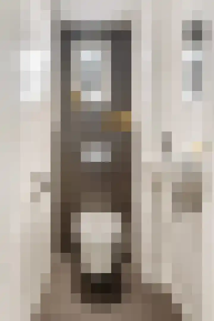 Kaakstraat 49 Elsloo thumbnail 8