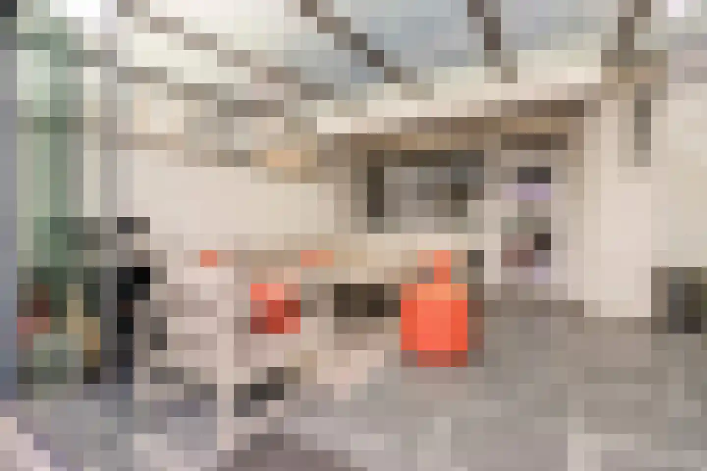 Kaalheidersteenweg 155 Kerkrade thumbnail 12