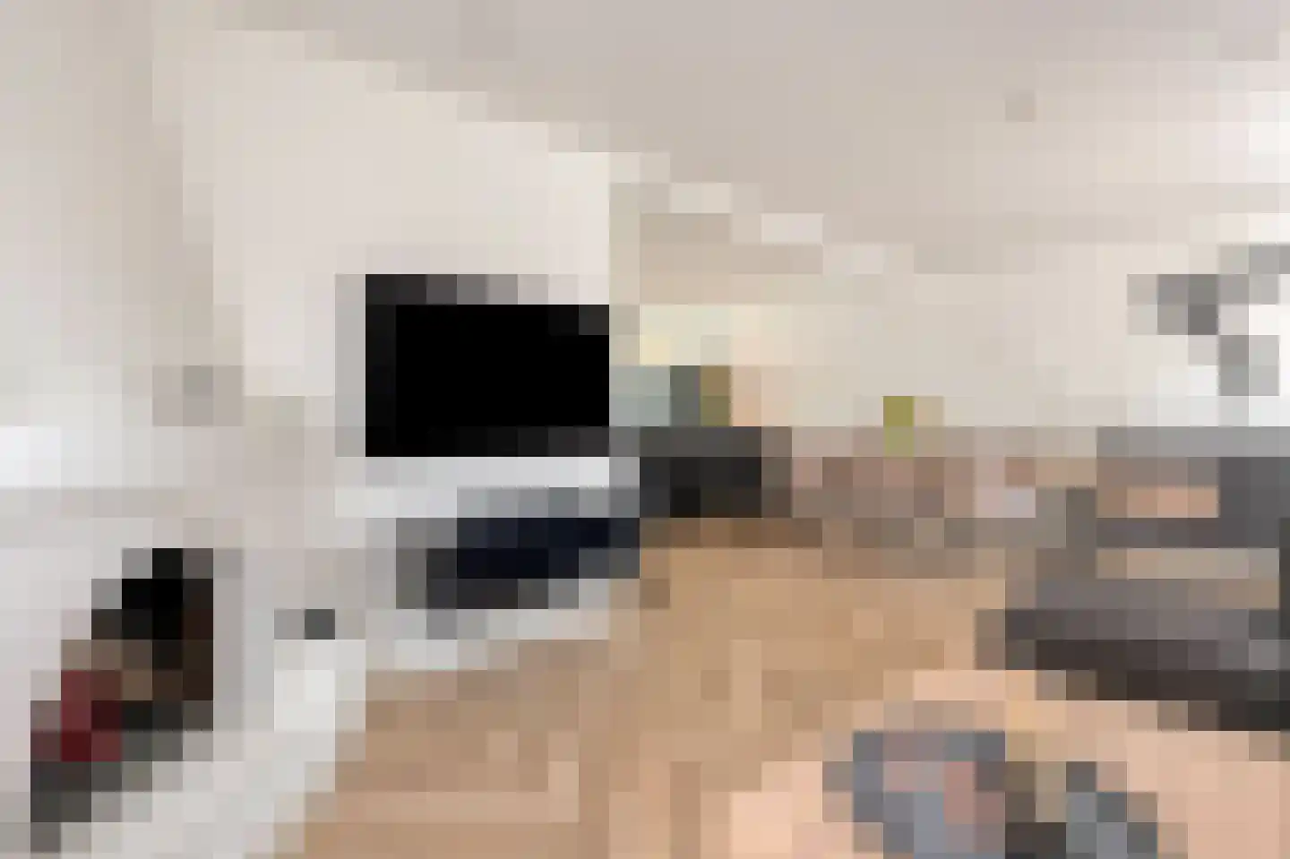 Kaalheidersteenweg 155 Kerkrade thumbnail 5