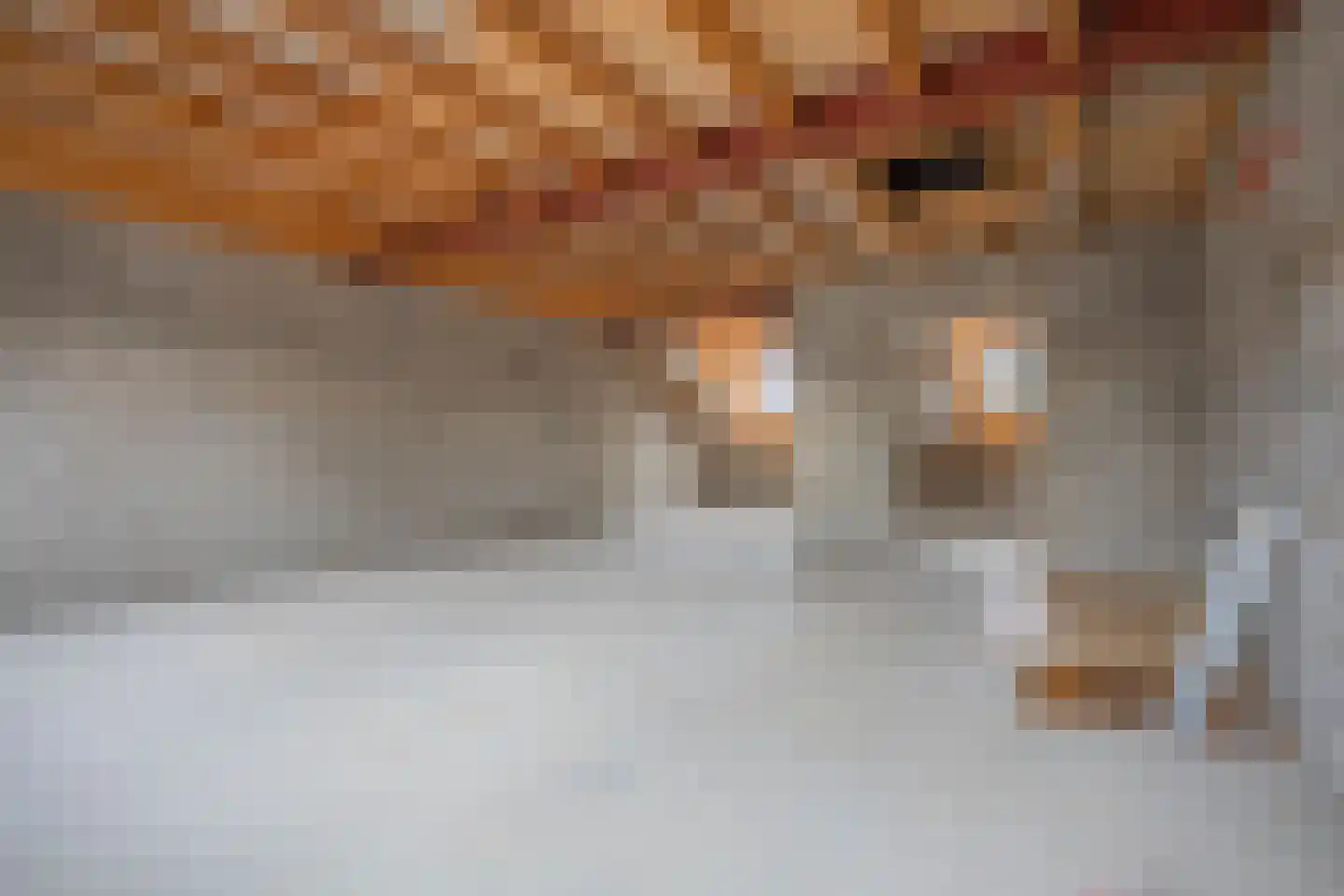 Kaalheidersteenweg 24 Kerkrade thumbnail 14