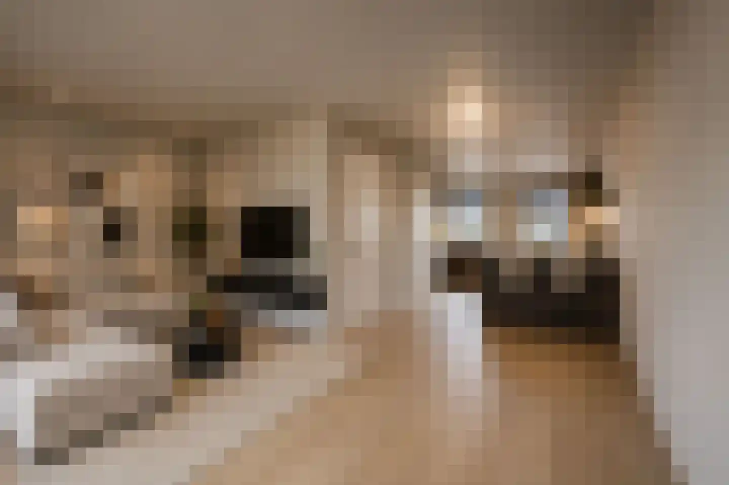 Kaalheidersteenweg 24 Kerkrade thumbnail 8