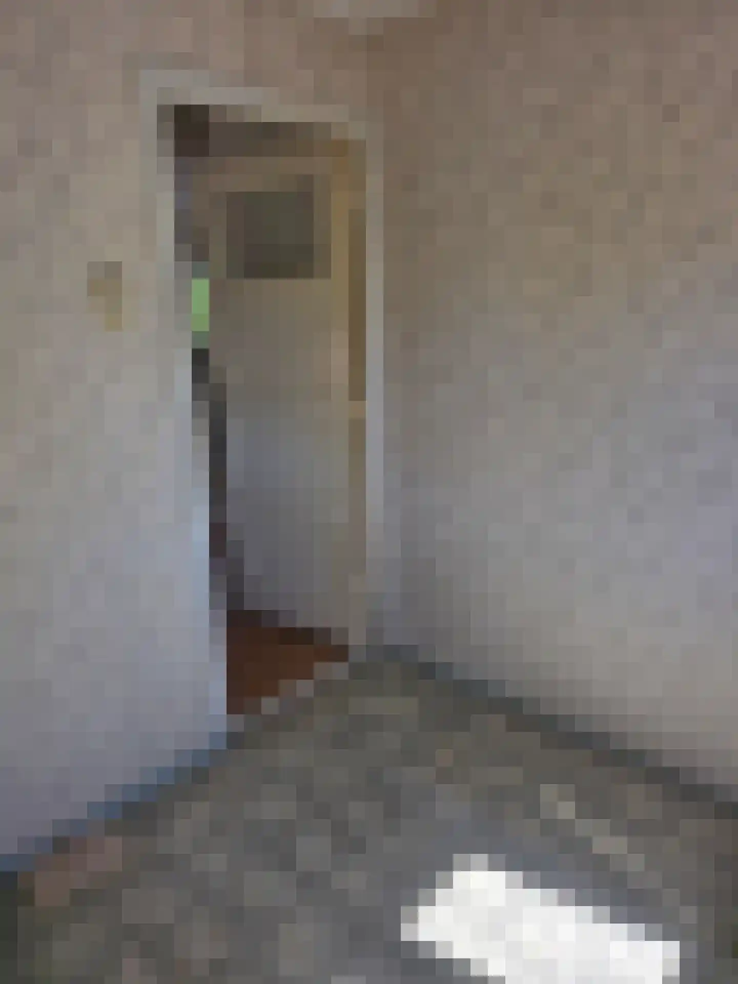 Kaalheidersteenweg 28 Kerkrade thumbnail 16