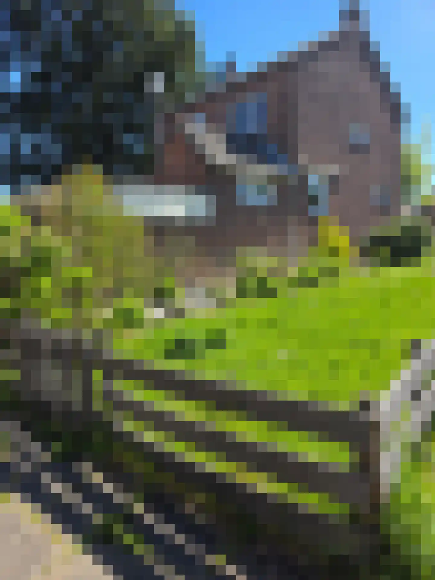 Kaalheidersteenweg 28 Kerkrade thumbnail 29