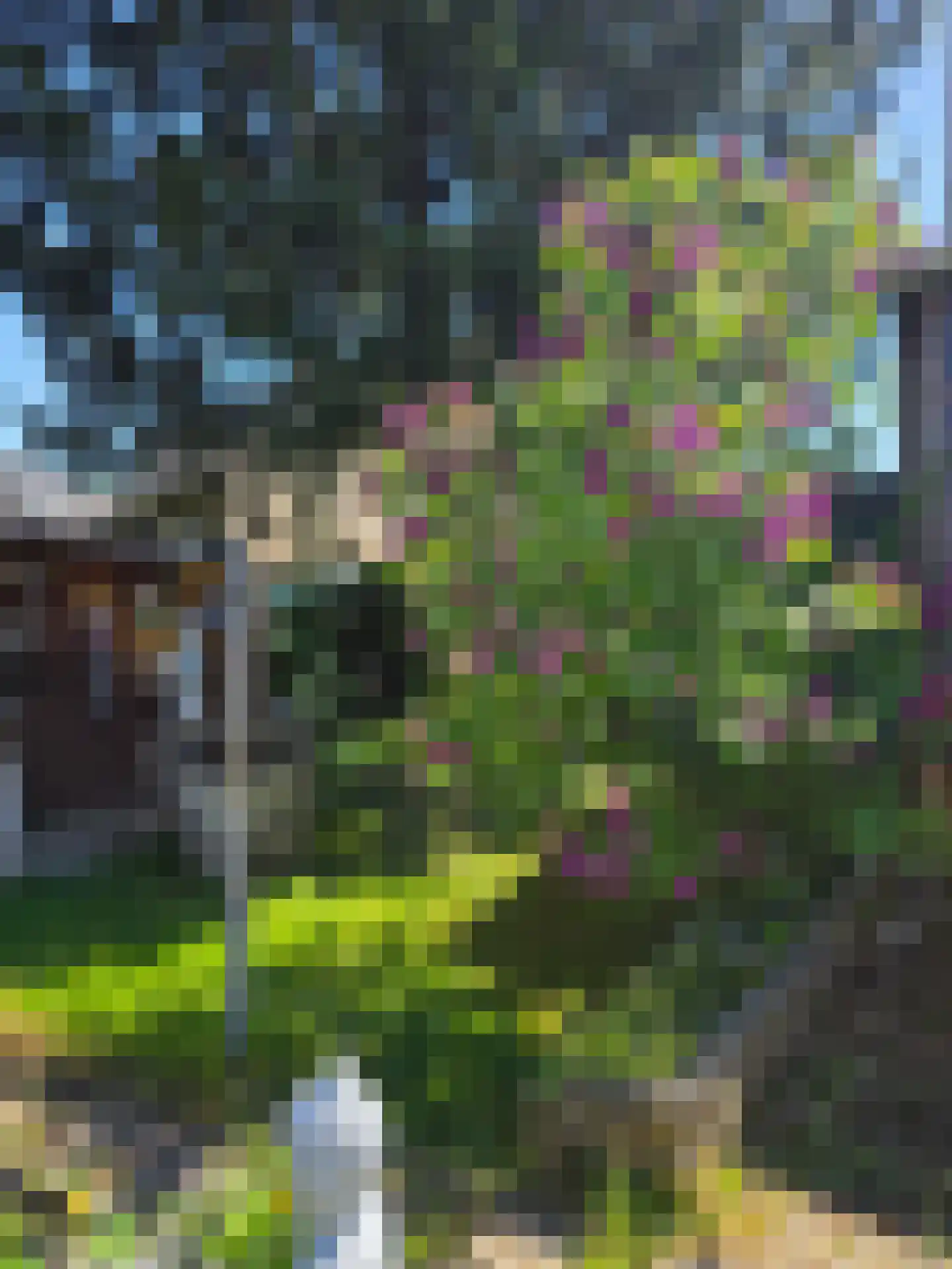 Kaalheidersteenweg 28 Kerkrade thumbnail 30