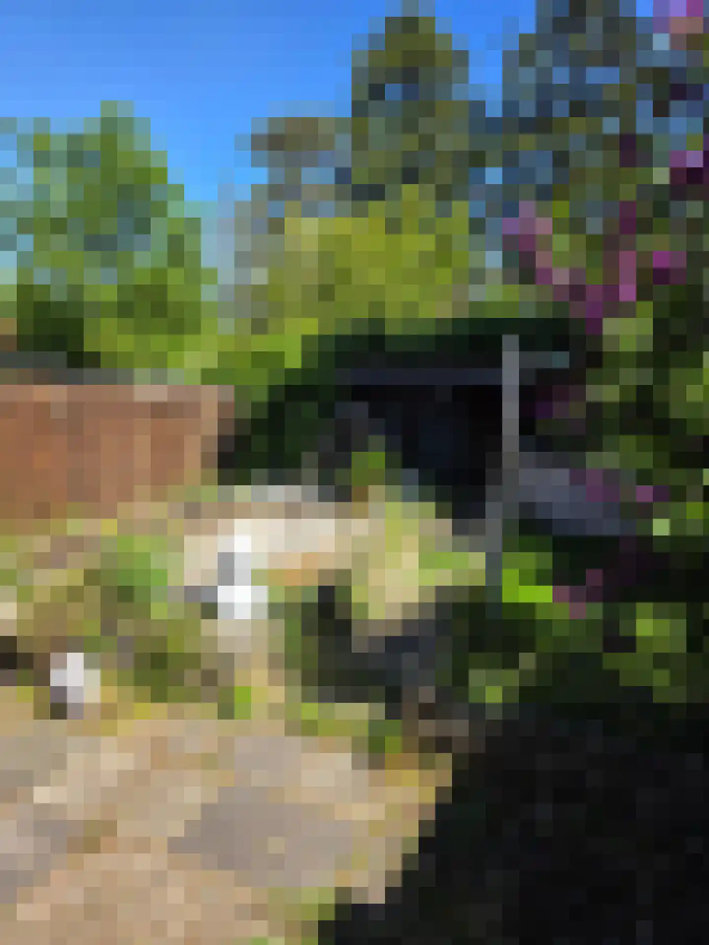 Kaalheidersteenweg 28 Kerkrade thumbnail 31