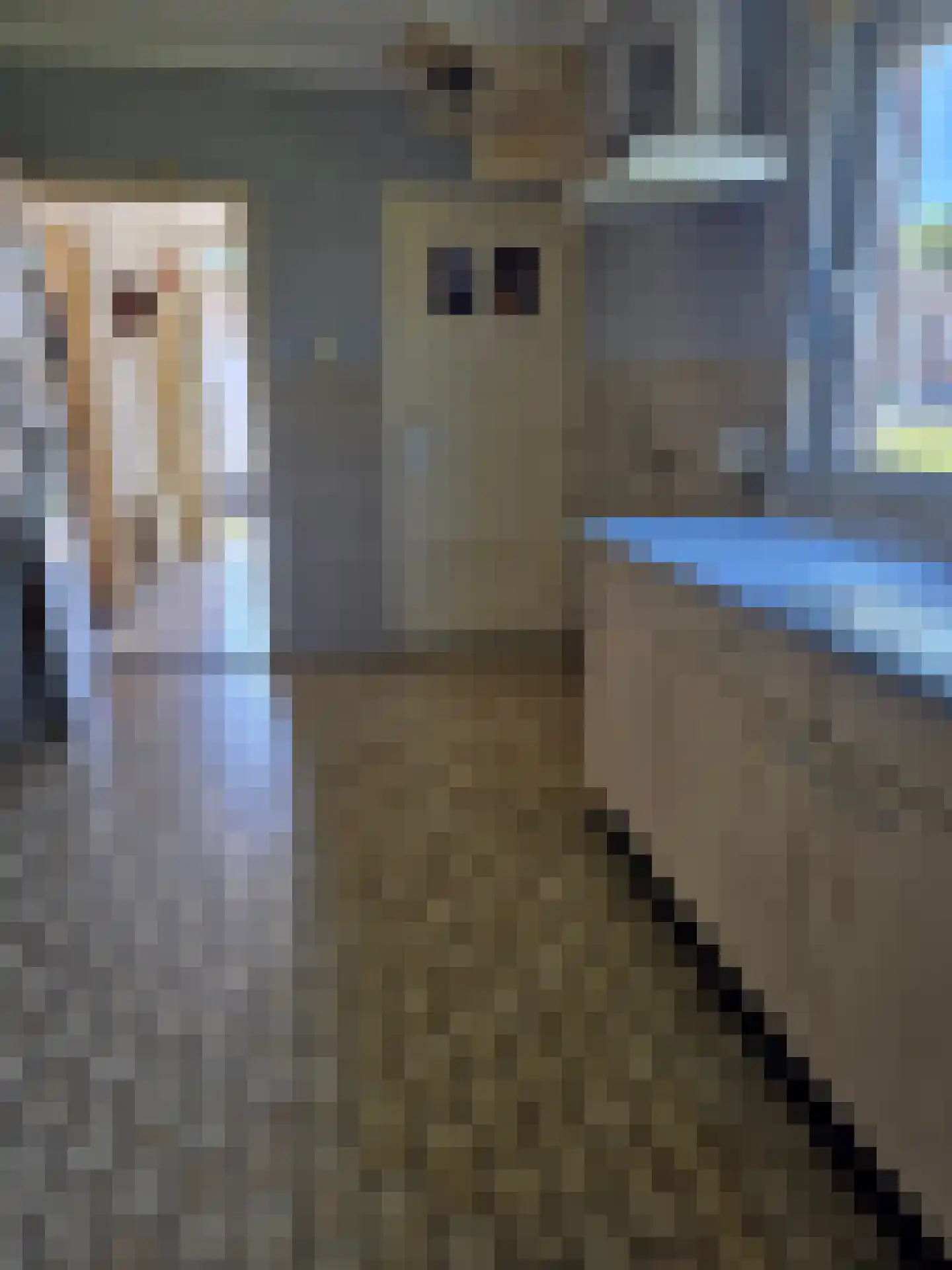 Kaalheidersteenweg 28 Kerkrade thumbnail 6