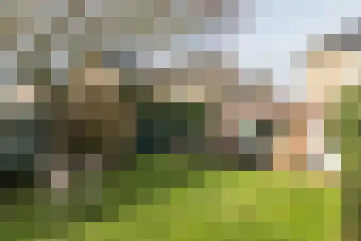 Kaalheidersteenweg 35 Kerkrade thumbnail 23