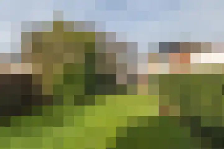 Kaalheidersteenweg 35 Kerkrade thumbnail 29