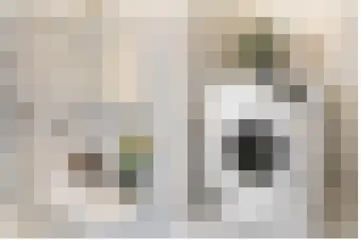 Kaap 19 Emmeloord