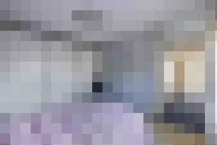 Kaap 19 Emmeloord thumbnail 10