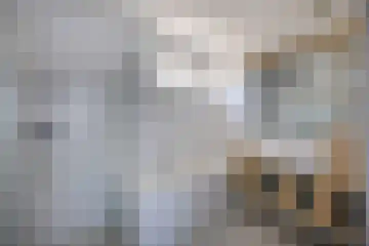 Kaap 19 Emmeloord thumbnail 12