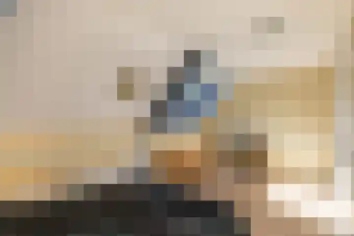 Kaap 19 Emmeloord thumbnail 15
