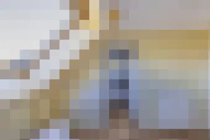 Kaap 19 Emmeloord thumbnail 18