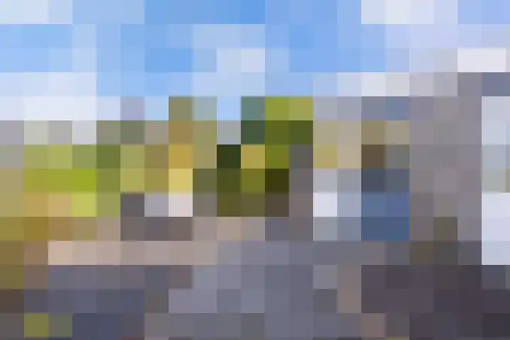 Kaap 19 Emmeloord thumbnail 19