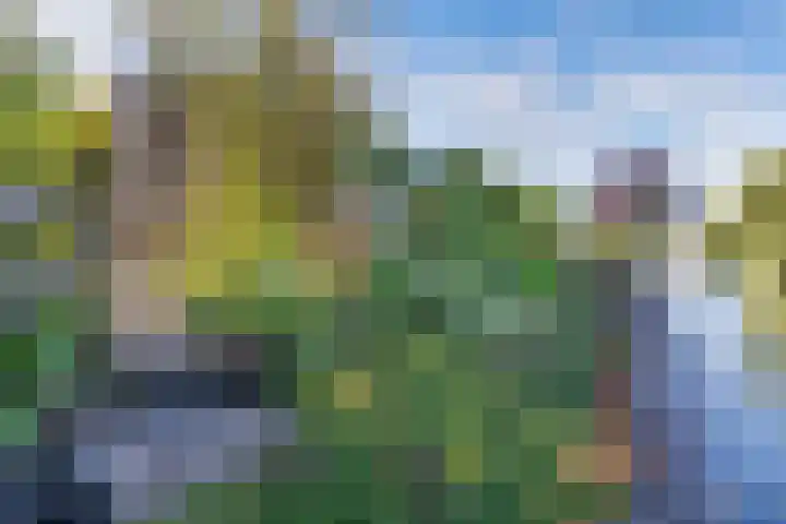Kaap 19 Emmeloord thumbnail 24