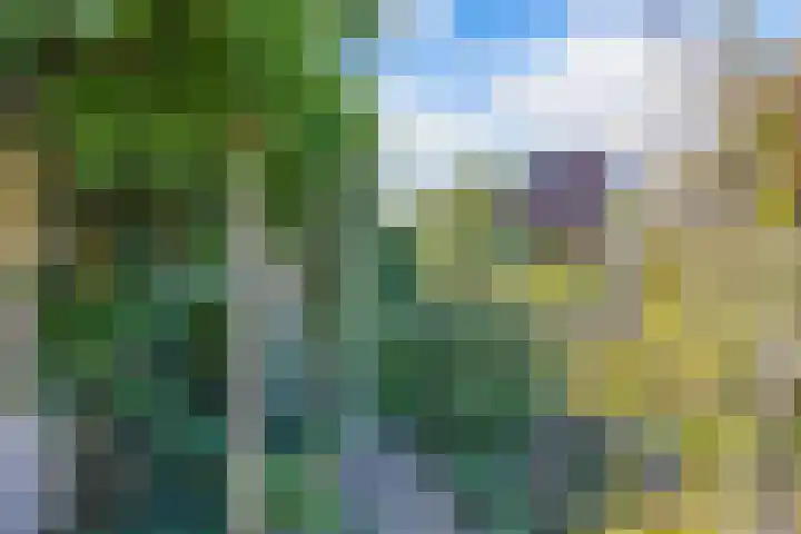 Kaap 19 Emmeloord thumbnail 25