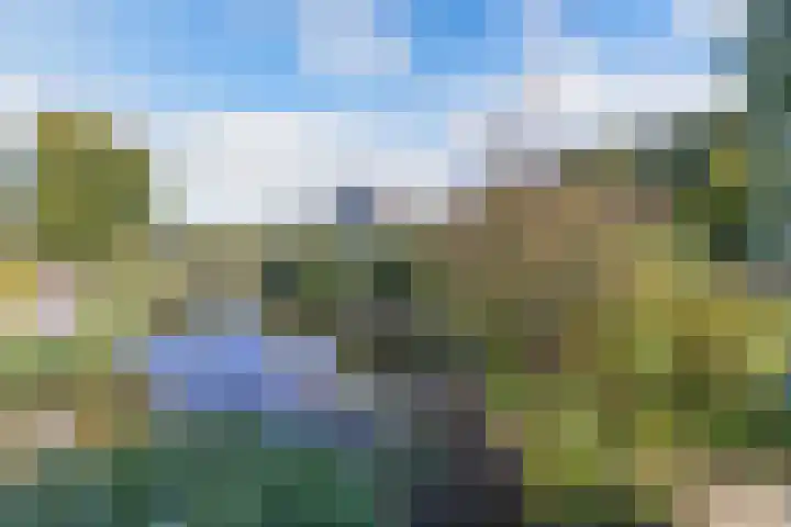 Kaap 19 Emmeloord thumbnail 27