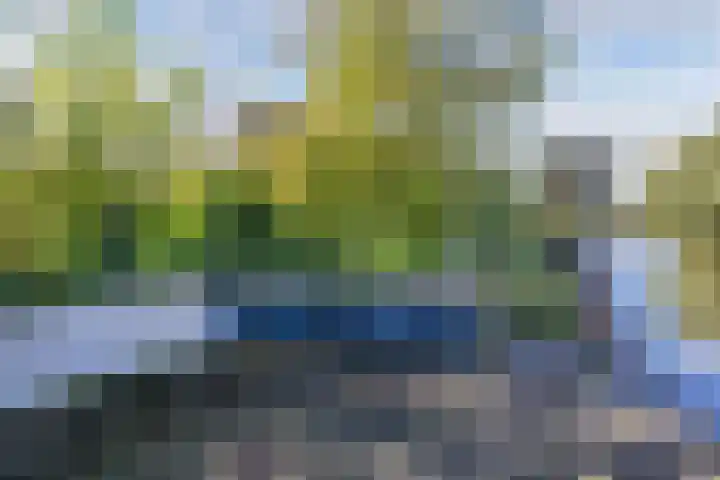 Kaap 19 Emmeloord thumbnail 28