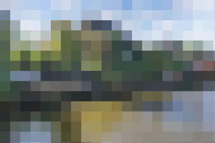 Kaap 19 Emmeloord thumbnail 30