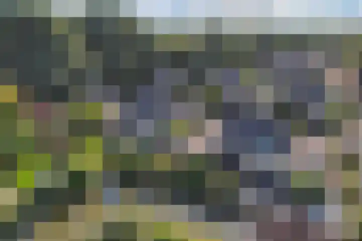 Kaap 19 Emmeloord thumbnail 32